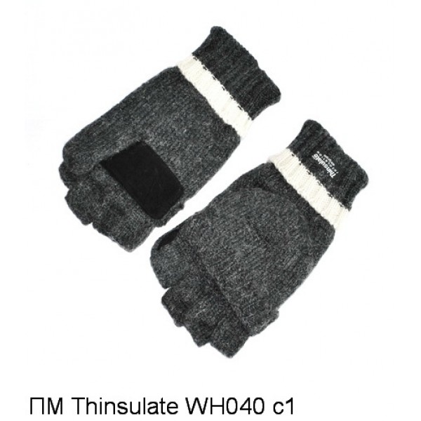  Thinsulate WH040 C1